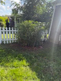 Before and after - before