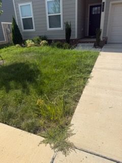 Before and after - before